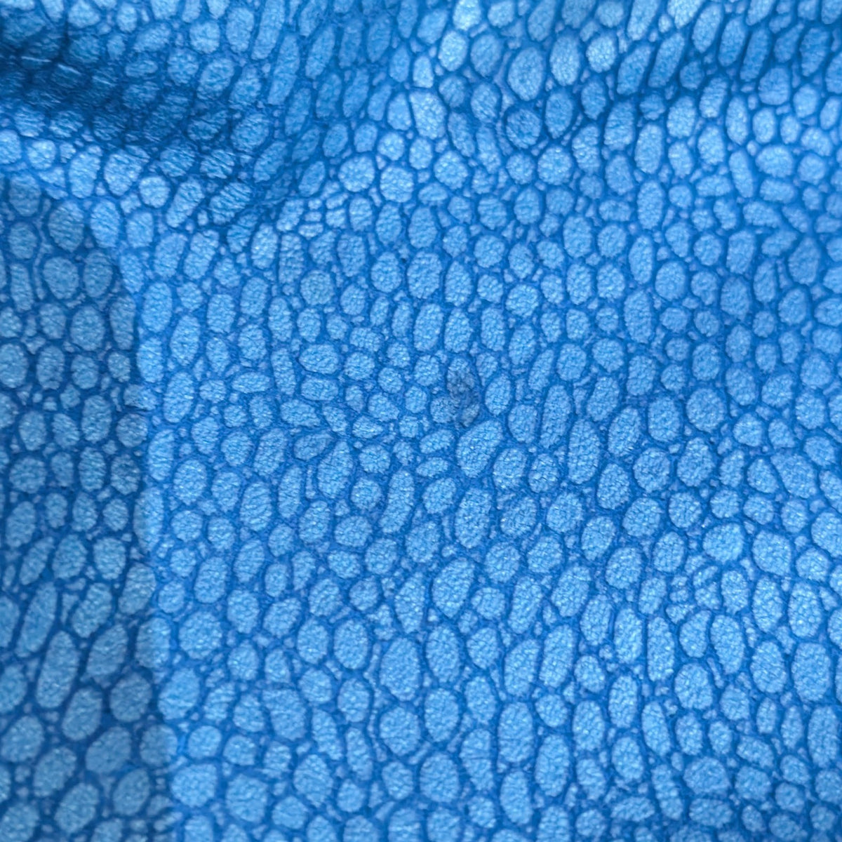 Vintage 1980s Out of Bounds Cobalt Blue Snakeskin Leather Bomber Jacket Size M (Fits S)